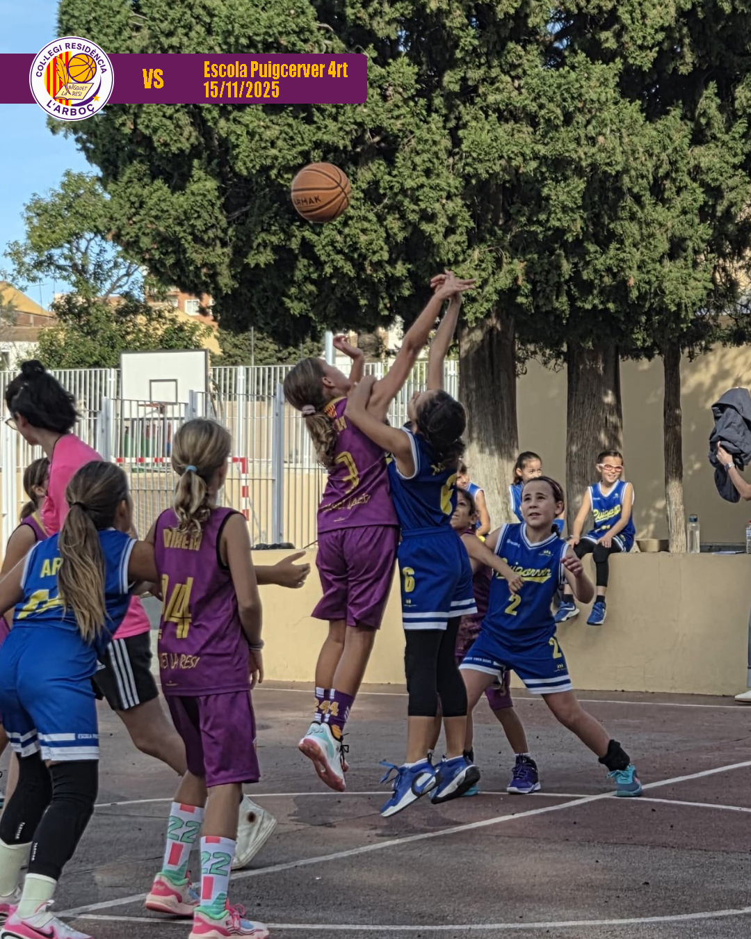 01_escola_puigcerver_4rt_bsquet_arboc_resi 01_escola_puigcerver_4rt_bsquet_arboc_resi