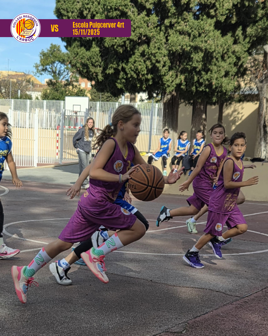 02_escola_puigcerver_4rt_bsquet_arboc_resi 02_escola_puigcerver_4rt_bsquet_arboc_resi