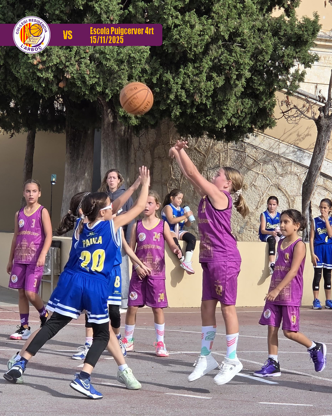 05_escola_puigcerver_4rt_bsquet_arboc_resi 05_escola_puigcerver_4rt_bsquet_arboc_resi