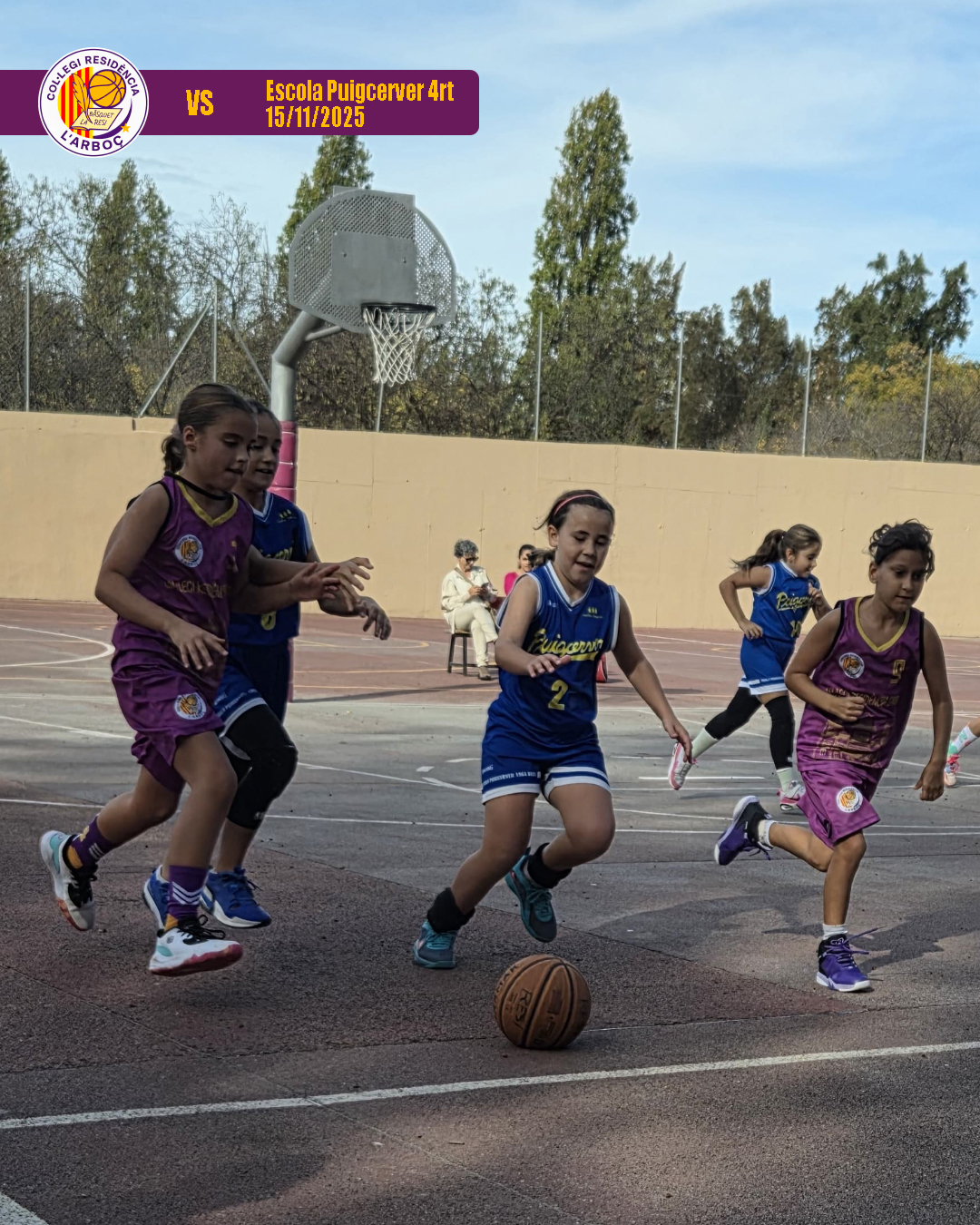 07_escola_puigcerver_4rt_bsquet_arboc_resi 07_escola_puigcerver_4rt_bsquet_arboc_resi