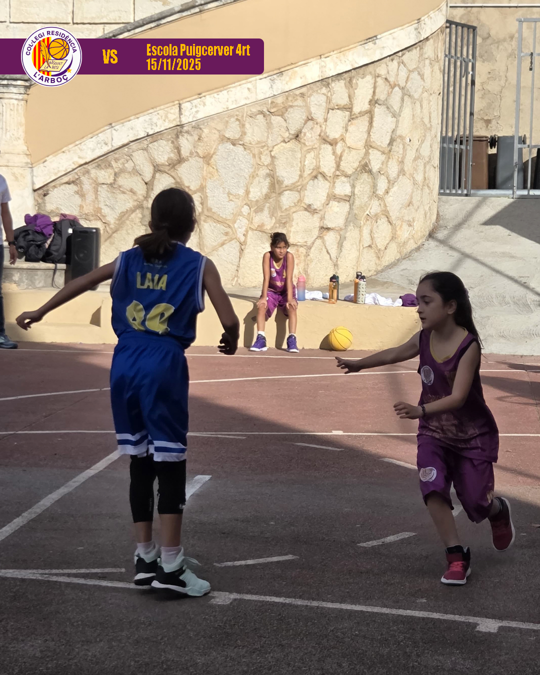 10_escola_puigcerver_4rt_bsquet_arboc_resi 10_escola_puigcerver_4rt_bsquet_arboc_resi