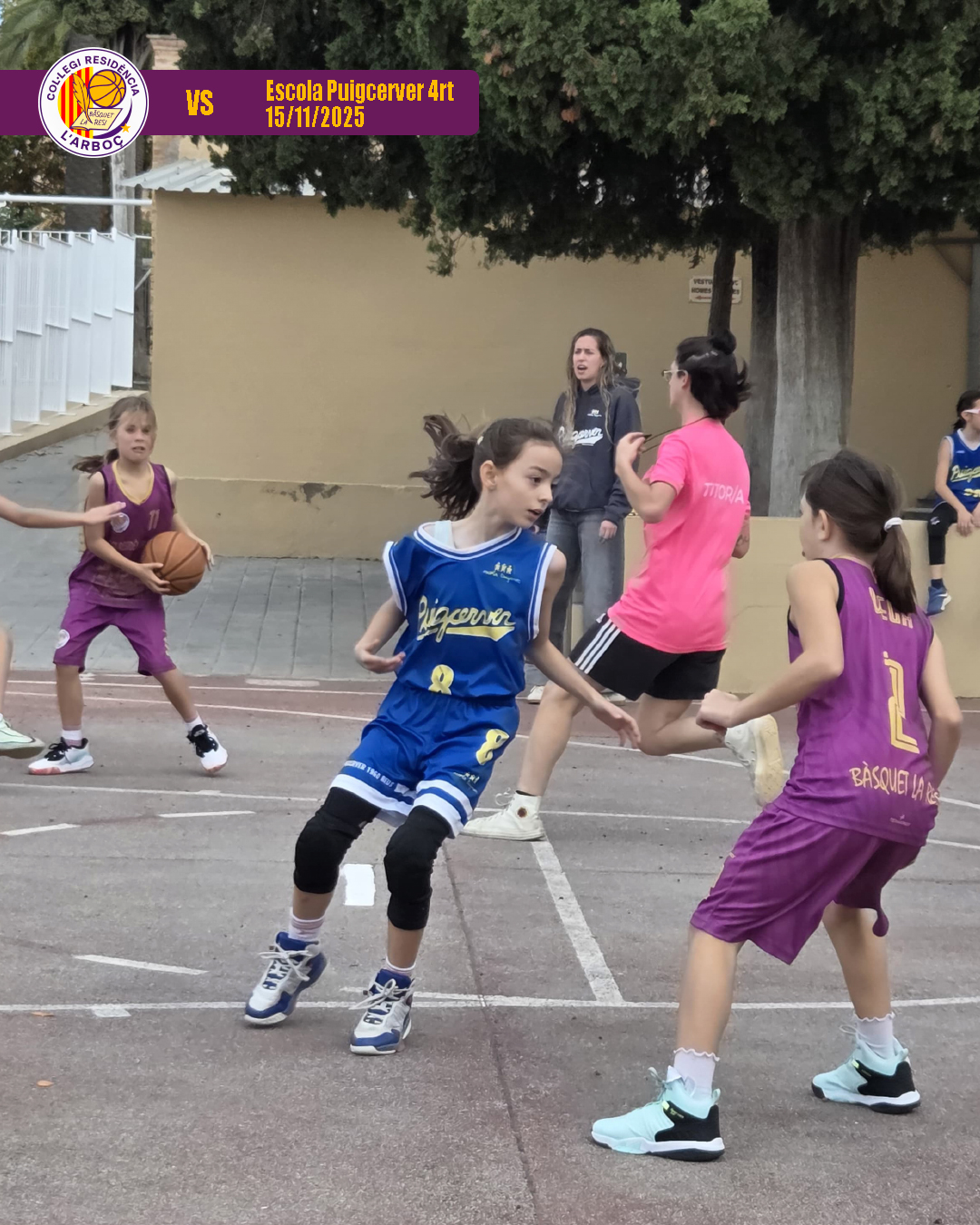 12_escola_puigcerver_4rt_bsquet_arboc_resi 12_escola_puigcerver_4rt_bsquet_arboc_resi