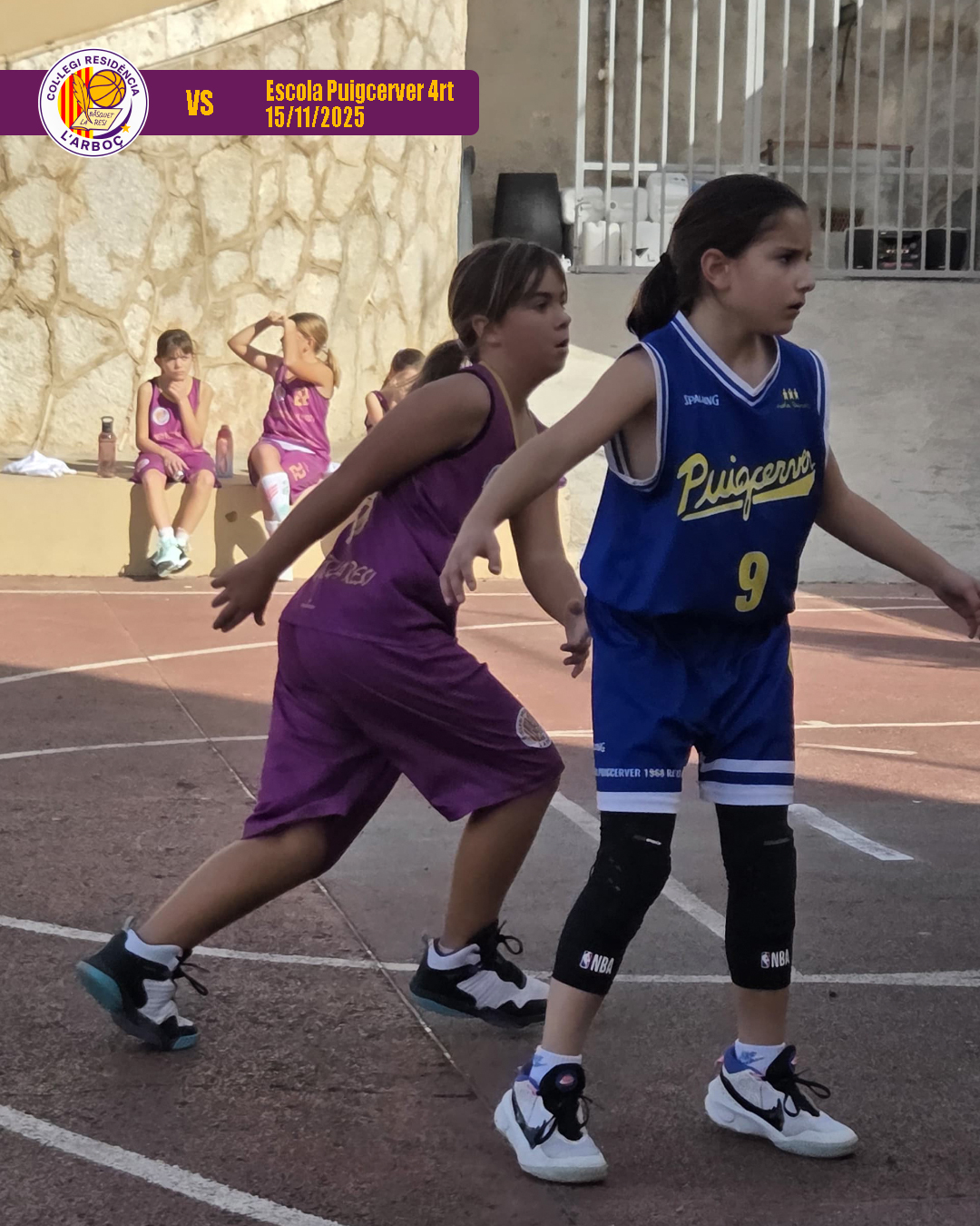 13_escola_puigcerver_4rt_bsquet_arboc_resi 13_escola_puigcerver_4rt_bsquet_arboc_resi