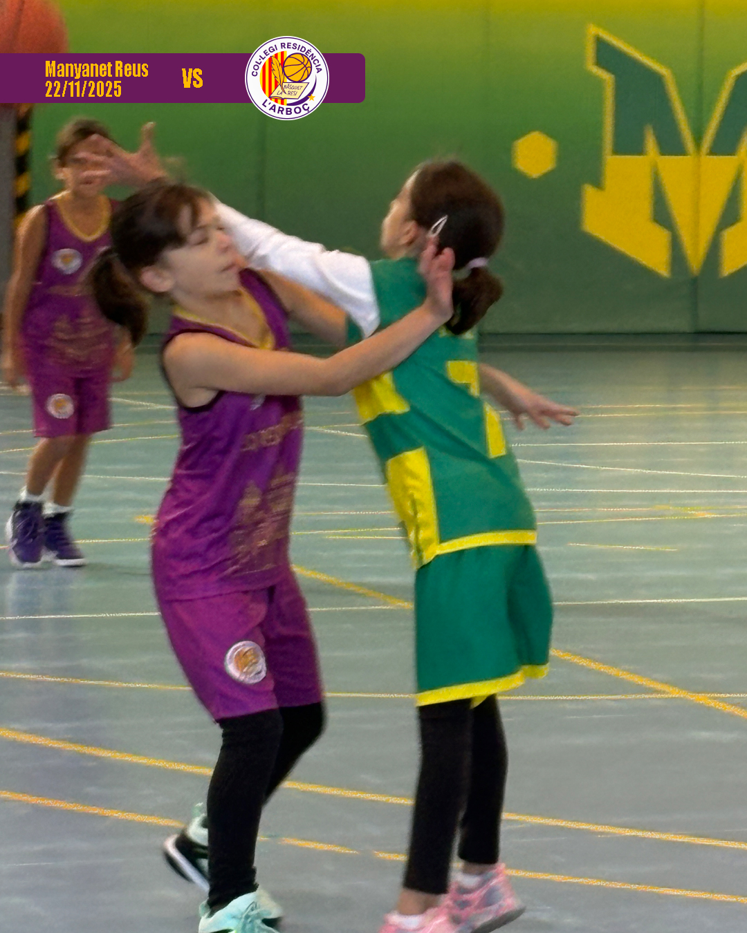 basquet_resi_arbocenc_manyanet_reus_02