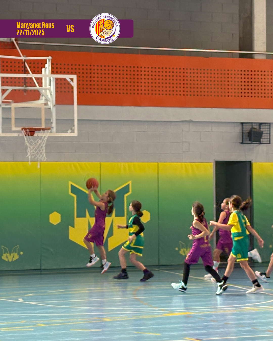 basquet_resi_arbocenc_manyanet_reus_03