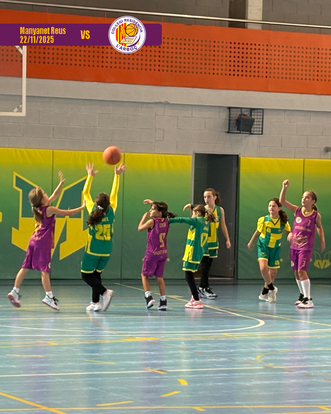 basquet_resi_arbocenc_manyanet_reus_18