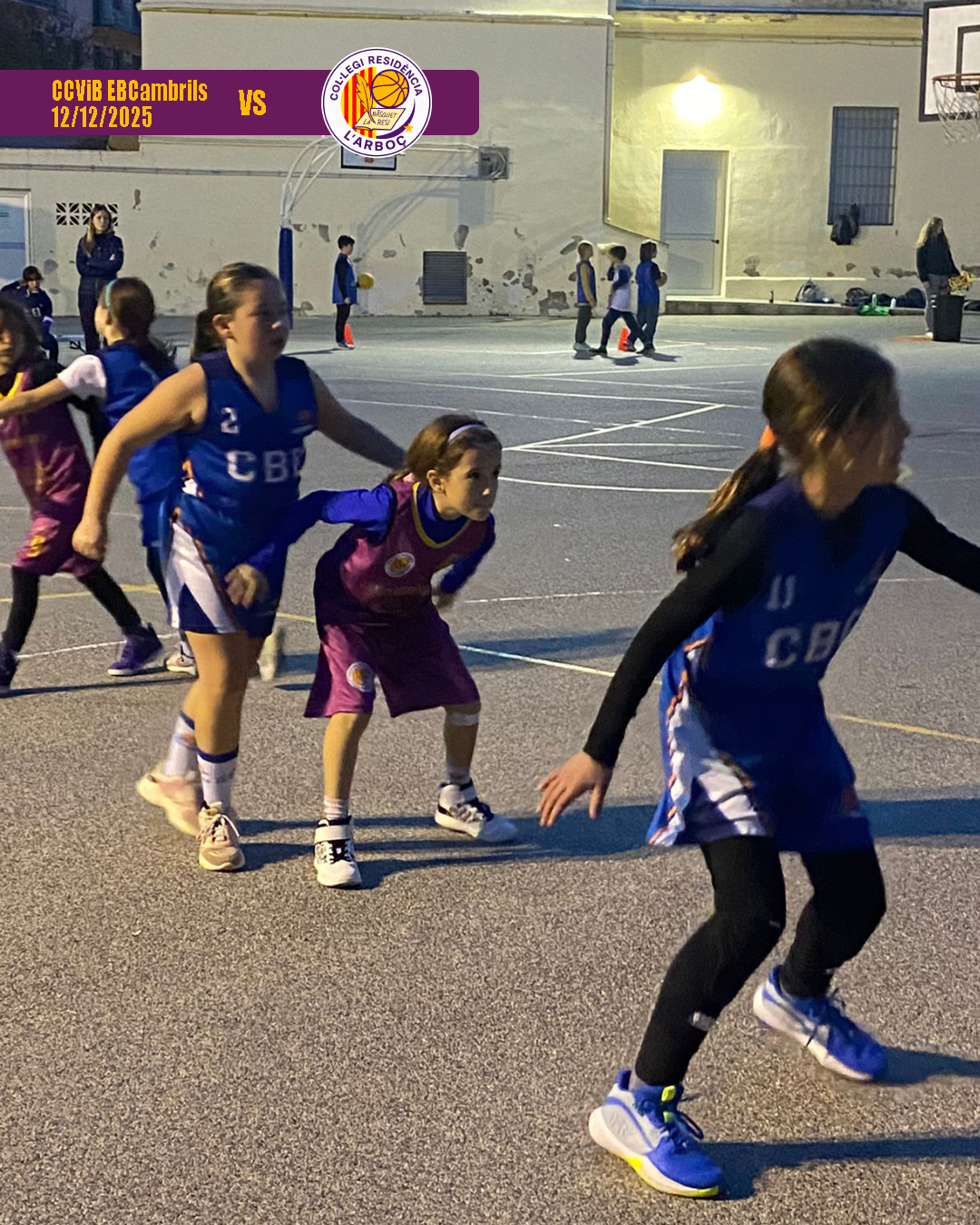 basquet_arbocenc_resi_cambrils_01 basquet_arbocenc_resi_cambrils_01