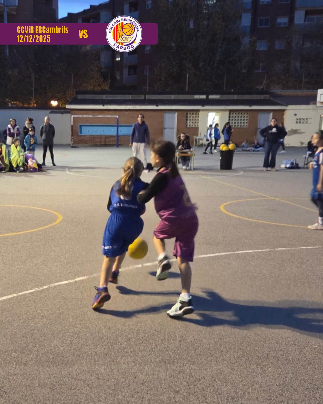 basquet_arbocenc_resi_cambrils_02 basquet_arbocenc_resi_cambrils_02