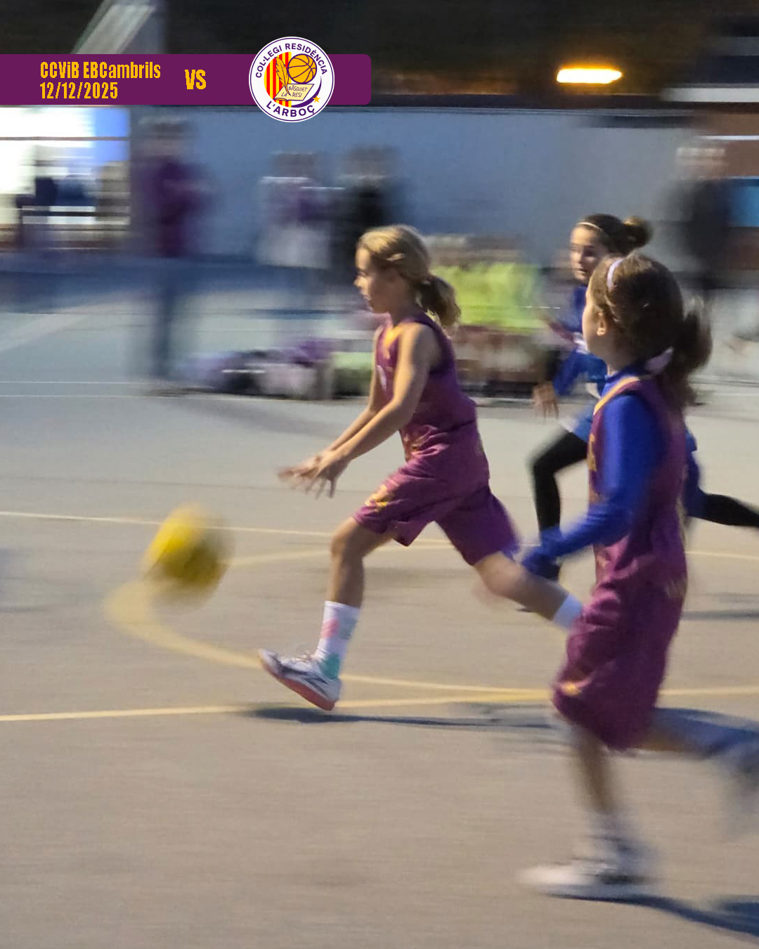 basquet_arbocenc_resi_cambrils_03 basquet_arbocenc_resi_cambrils_03