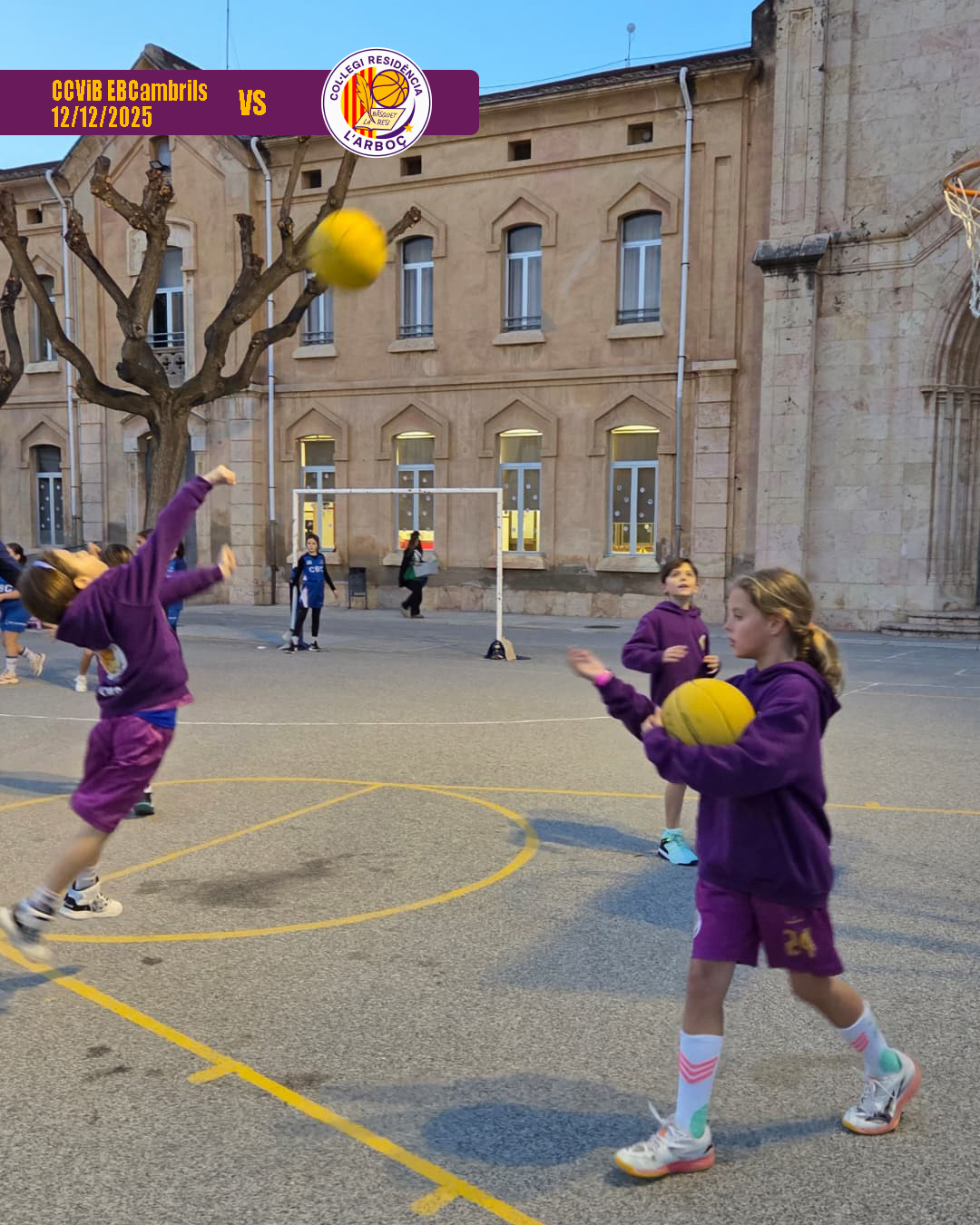 basquet_arbocenc_resi_cambrils_04 basquet_arbocenc_resi_cambrils_04