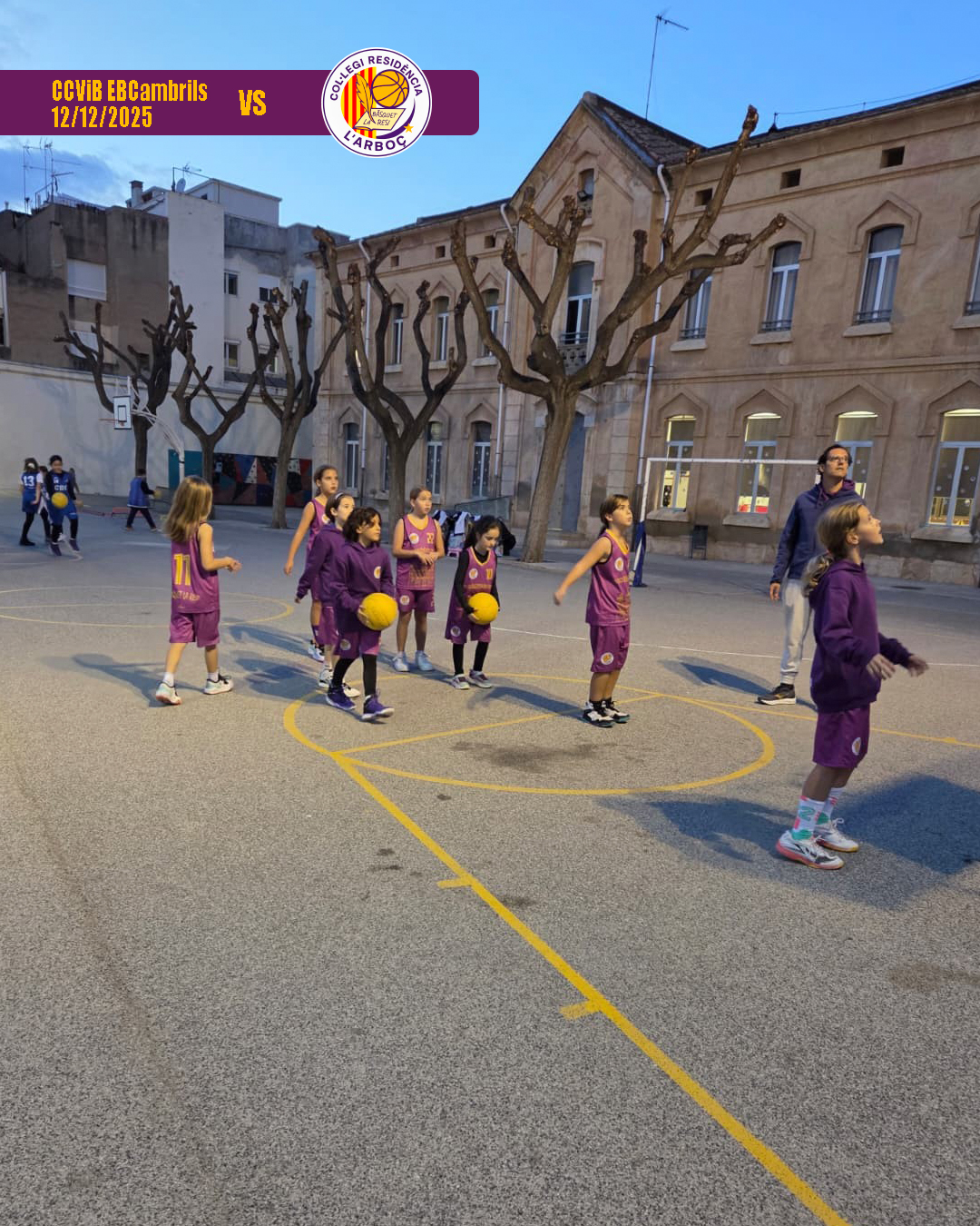 basquet_arbocenc_resi_cambrils_05 basquet_arbocenc_resi_cambrils_05