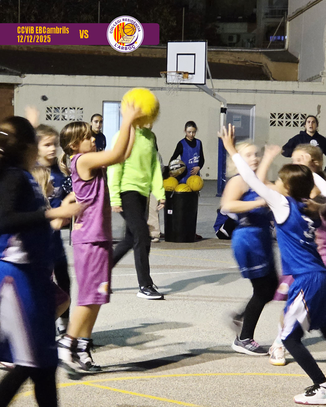 basquet_arbocenc_resi_cambrils_06 basquet_arbocenc_resi_cambrils_06
