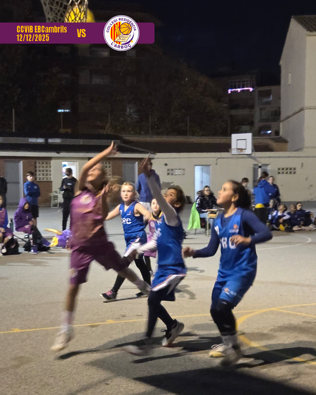 basquet_arbocenc_resi_cambrils_07 basquet_arbocenc_resi_cambrils_07