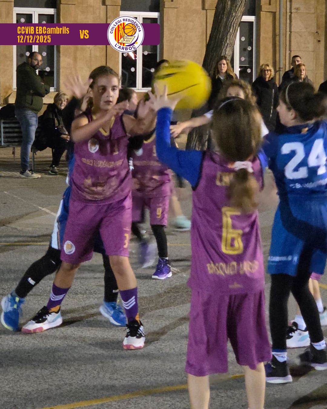 basquet_arbocenc_resi_cambrils_09 basquet_arbocenc_resi_cambrils_09