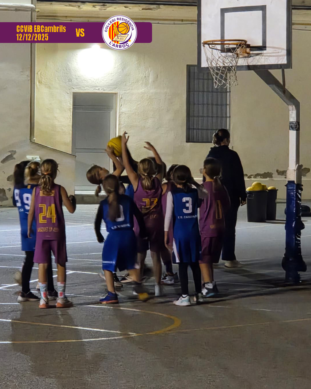 basquet_arbocenc_resi_cambrils_10 basquet_arbocenc_resi_cambrils_10
