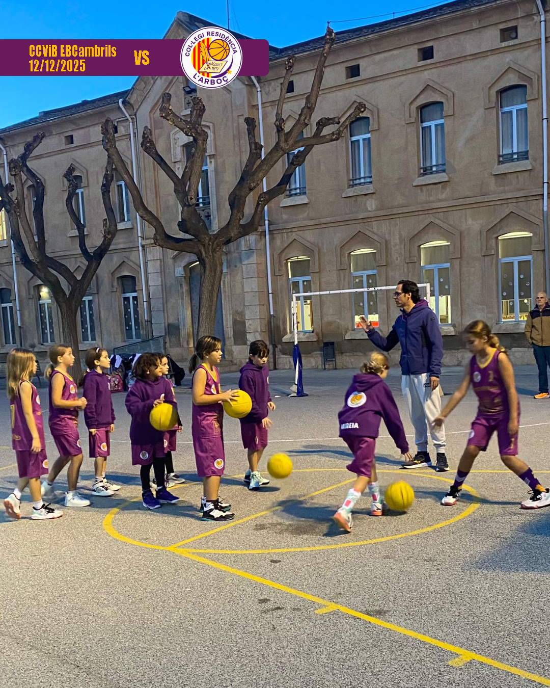 basquet_arbocenc_resi_cambrils_11 basquet_arbocenc_resi_cambrils_11