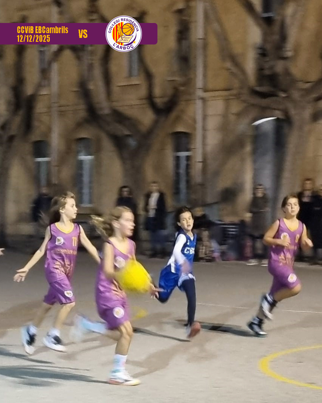 basquet_arbocenc_resi_cambrils_13 basquet_arbocenc_resi_cambrils_13