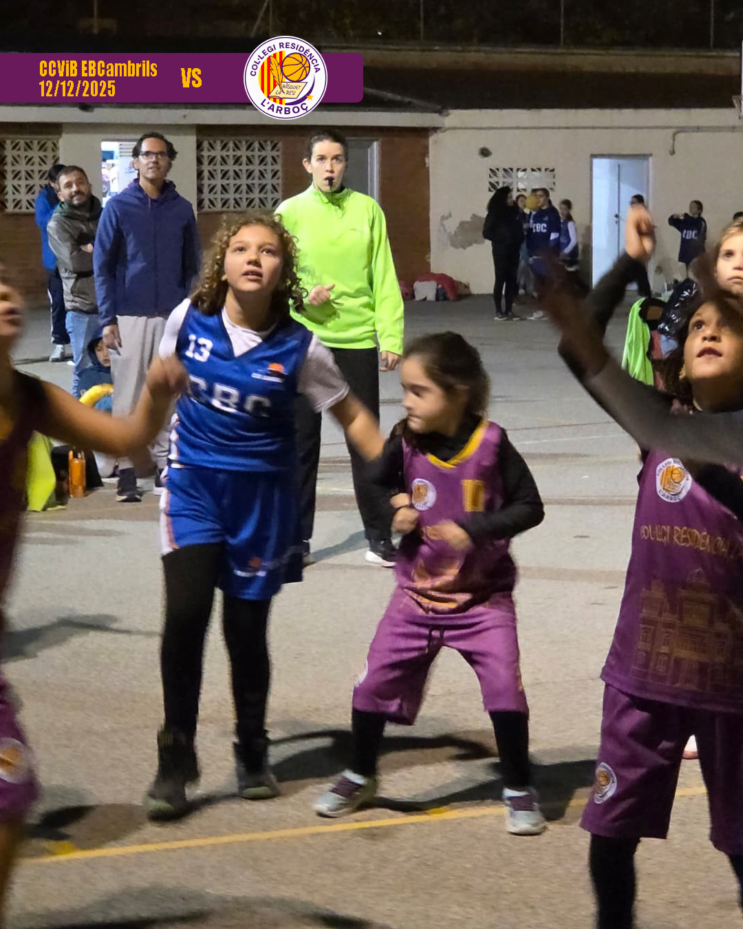 basquet_arbocenc_resi_cambrils_14 basquet_arbocenc_resi_cambrils_14