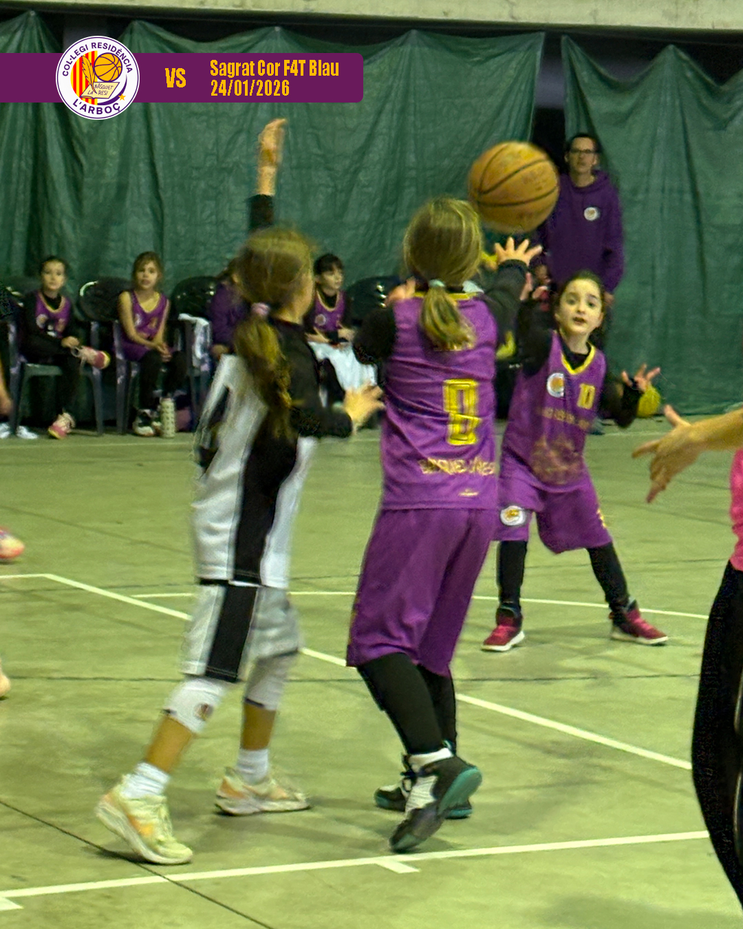 basquet_resi_arbocenc_sagrat_cor_blau_04 basquet_resi_arbocenc_sagrat_cor_blau_04