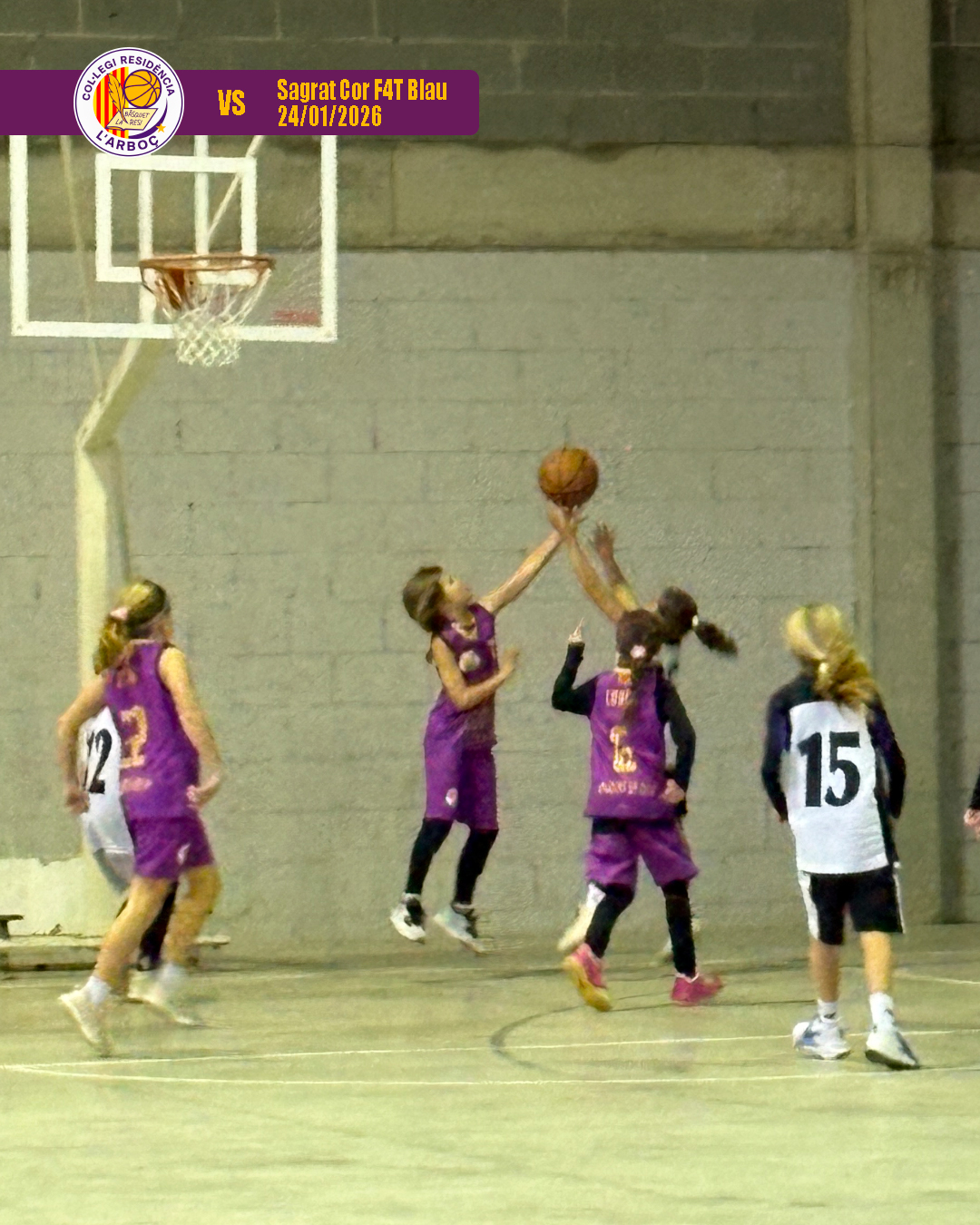 basquet_resi_arbocenc_sagrat_cor_blau_06 basquet_resi_arbocenc_sagrat_cor_blau_06