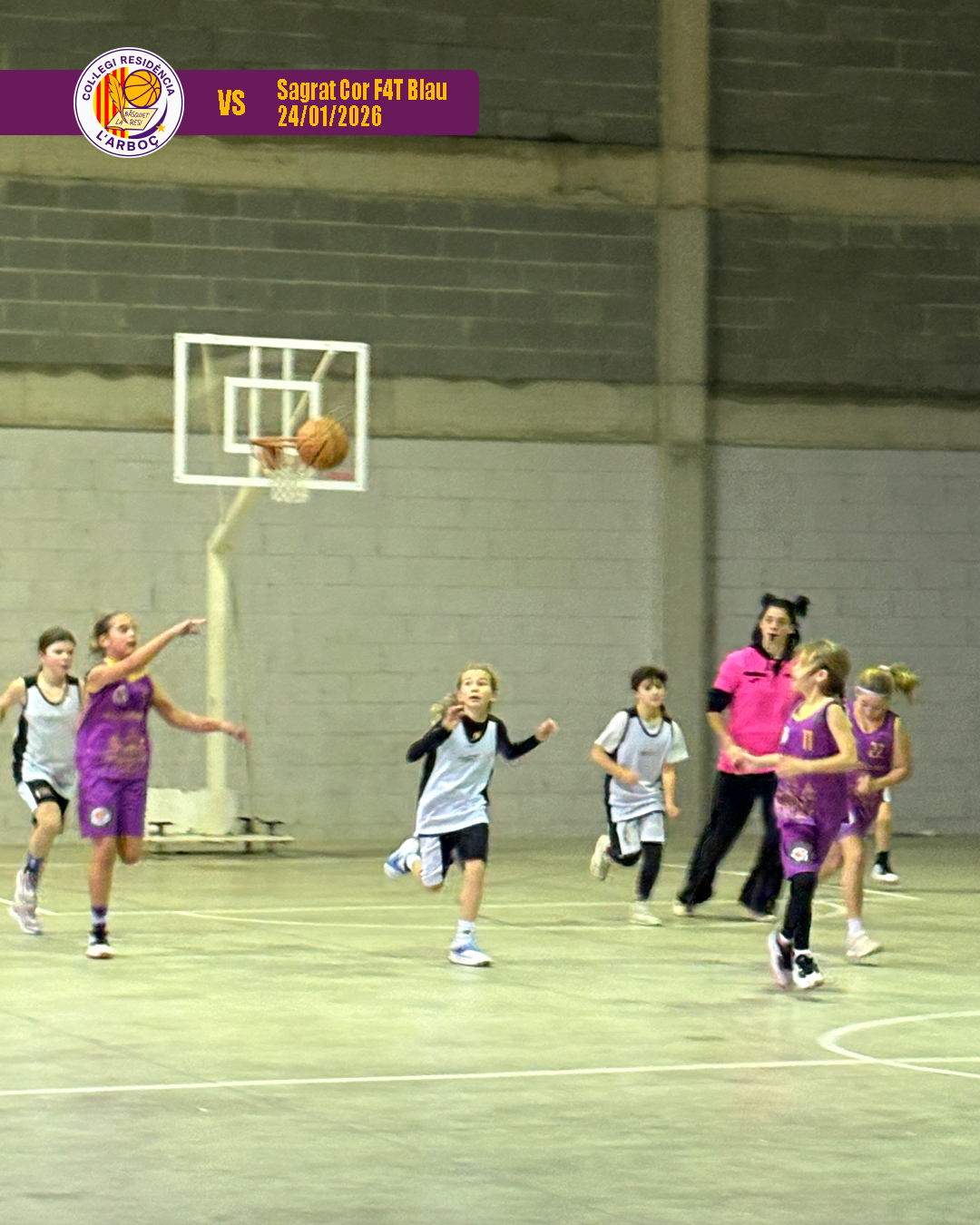 basquet_resi_arbocenc_sagrat_cor_blau_09 basquet_resi_arbocenc_sagrat_cor_blau_09