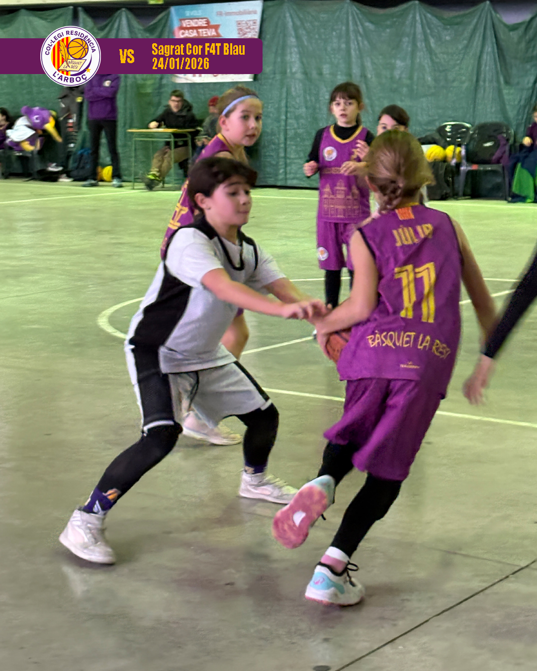 basquet_resi_arbocenc_sagrat_cor_blau_10 basquet_resi_arbocenc_sagrat_cor_blau_10