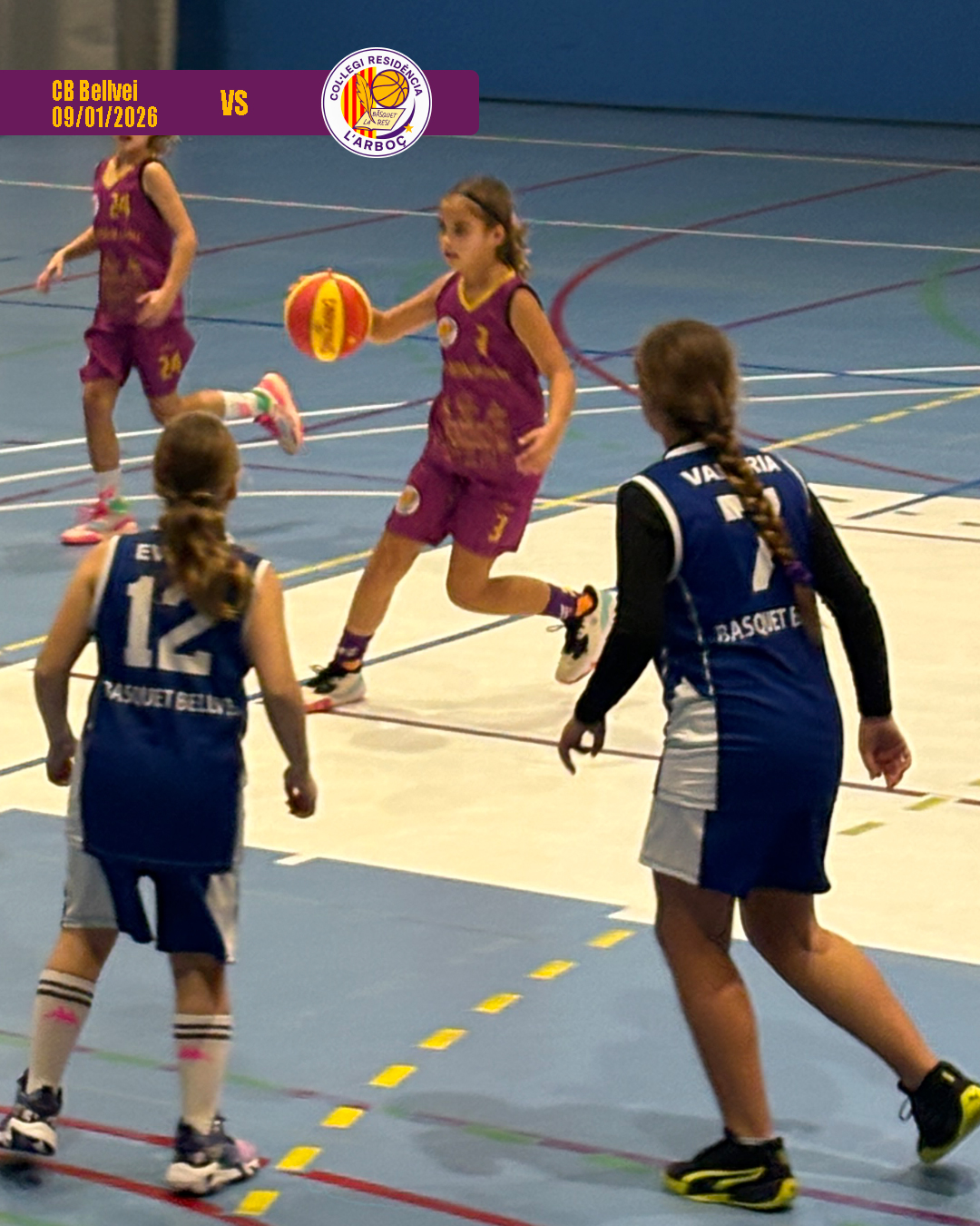 bellvei_basquet_arbocenc_resi_02 bellvei_basquet_arbocenc_resi_02