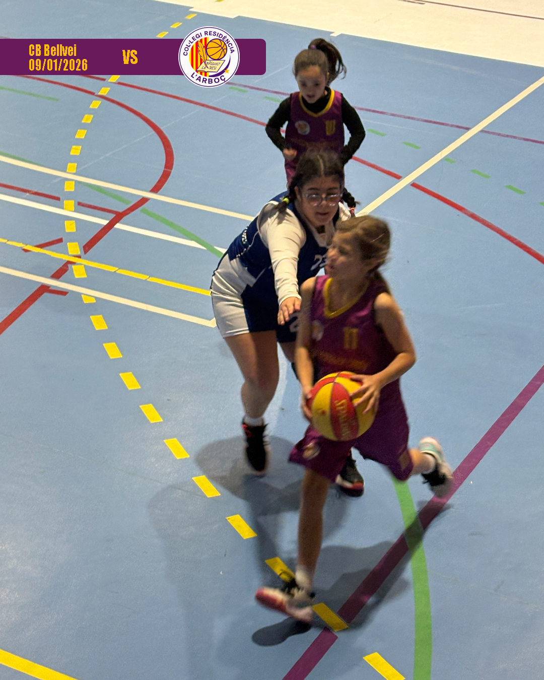 bellvei_basquet_arbocenc_resi_03 bellvei_basquet_arbocenc_resi_03