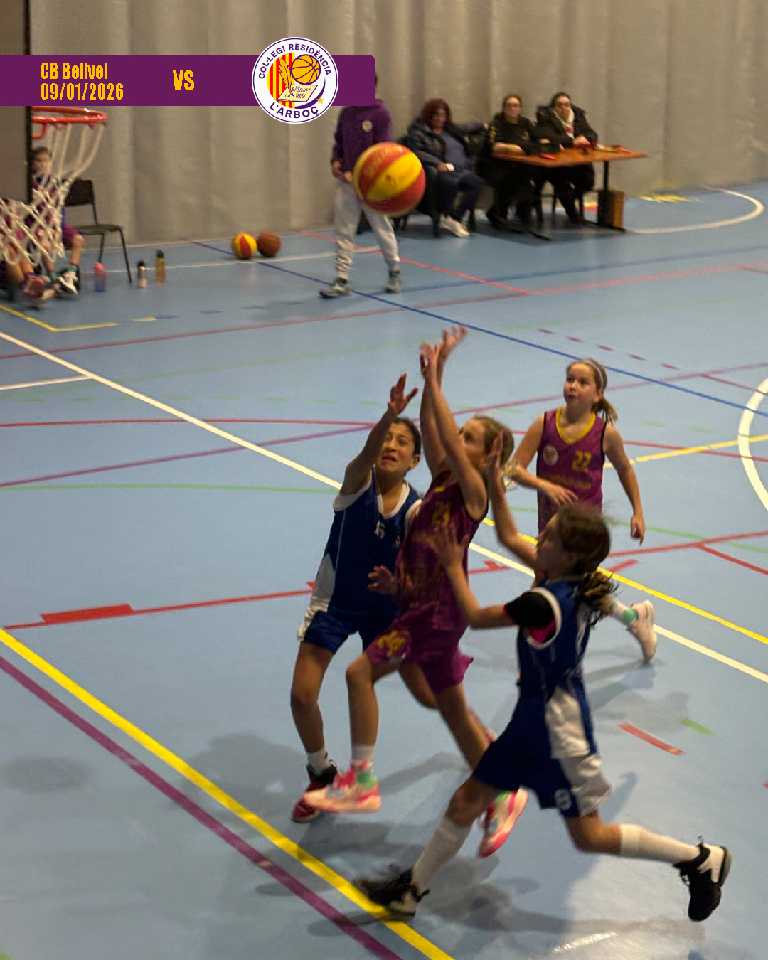 bellvei_basquet_arbocenc_resi_04 bellvei_basquet_arbocenc_resi_04