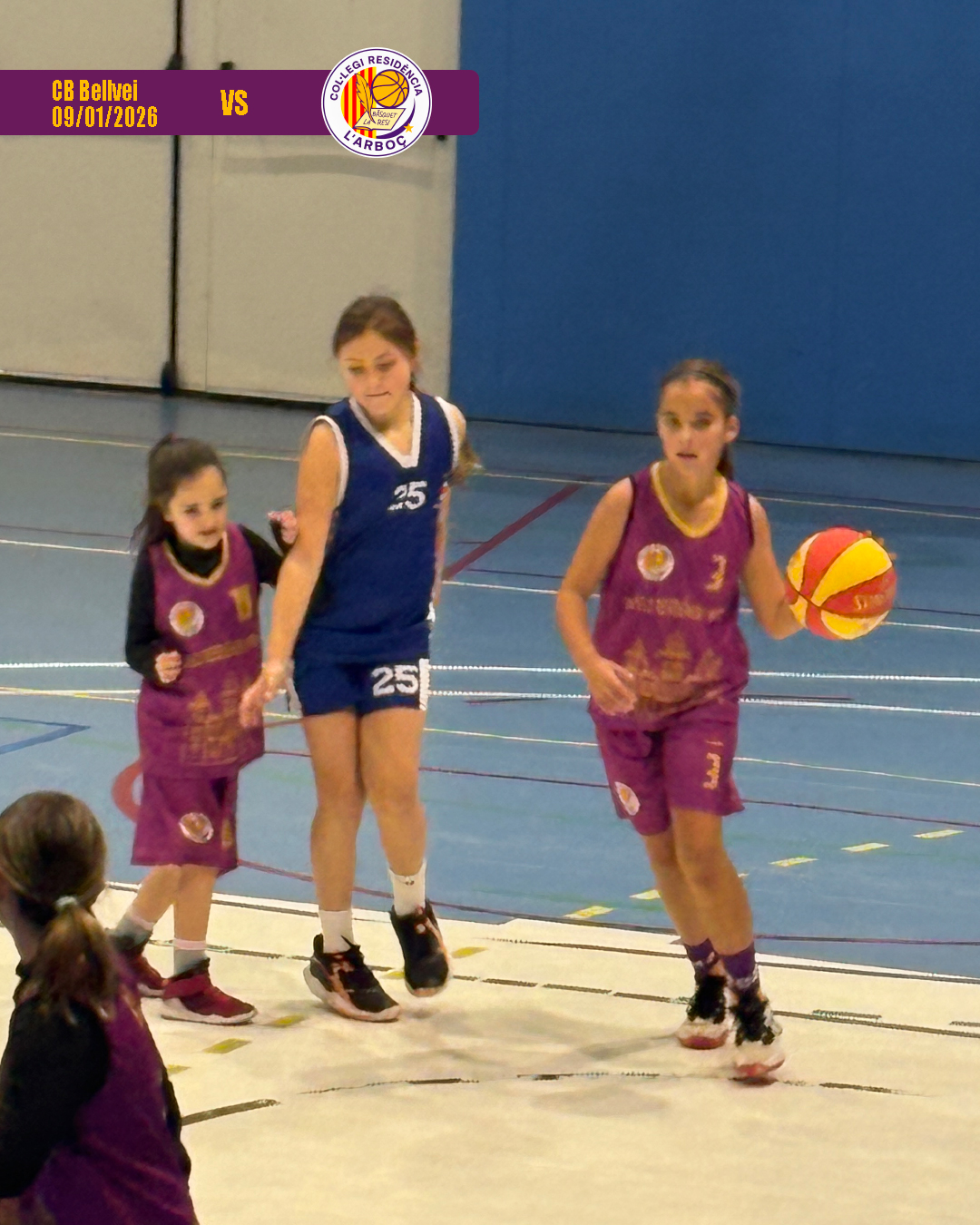 bellvei_basquet_arbocenc_resi_05 bellvei_basquet_arbocenc_resi_05