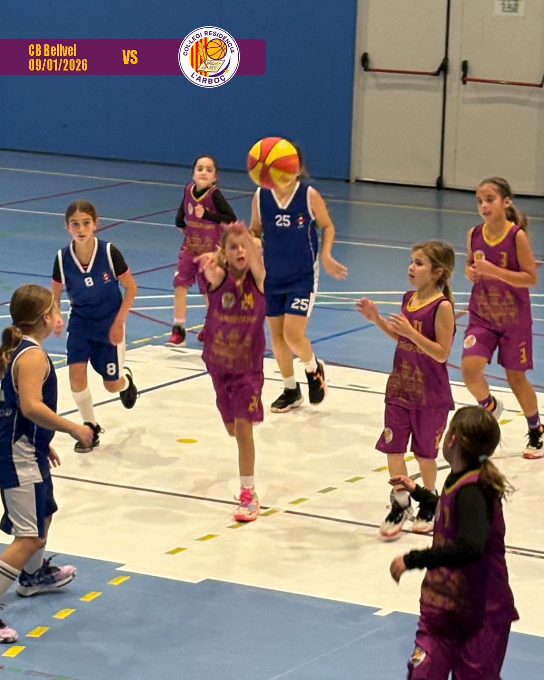 bellvei_basquet_arbocenc_resi_06 bellvei_basquet_arbocenc_resi_06