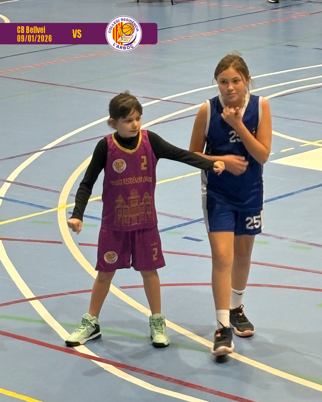 bellvei_basquet_arbocenc_resi_07 bellvei_basquet_arbocenc_resi_07