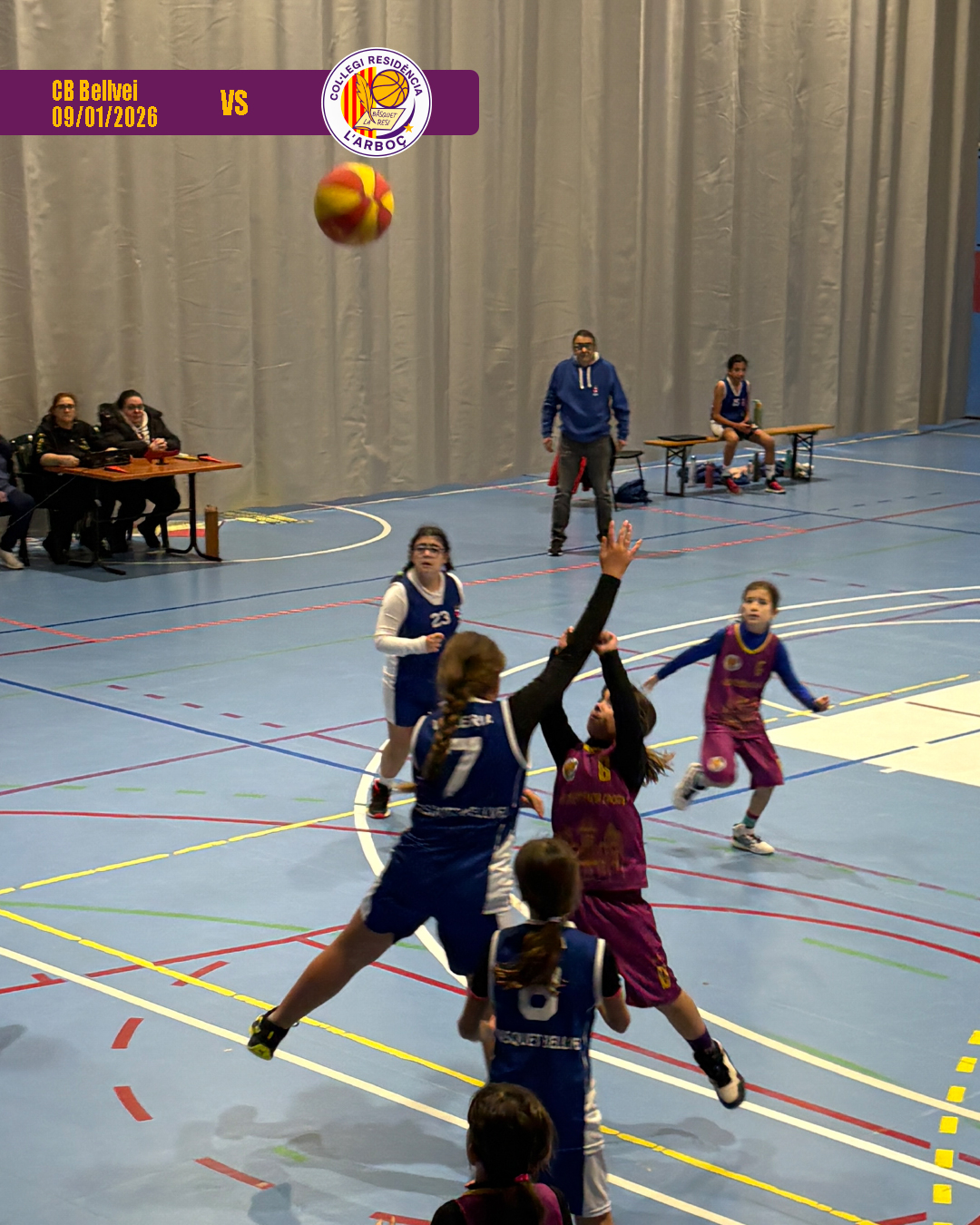 bellvei_basquet_arbocenc_resi_08 bellvei_basquet_arbocenc_resi_08