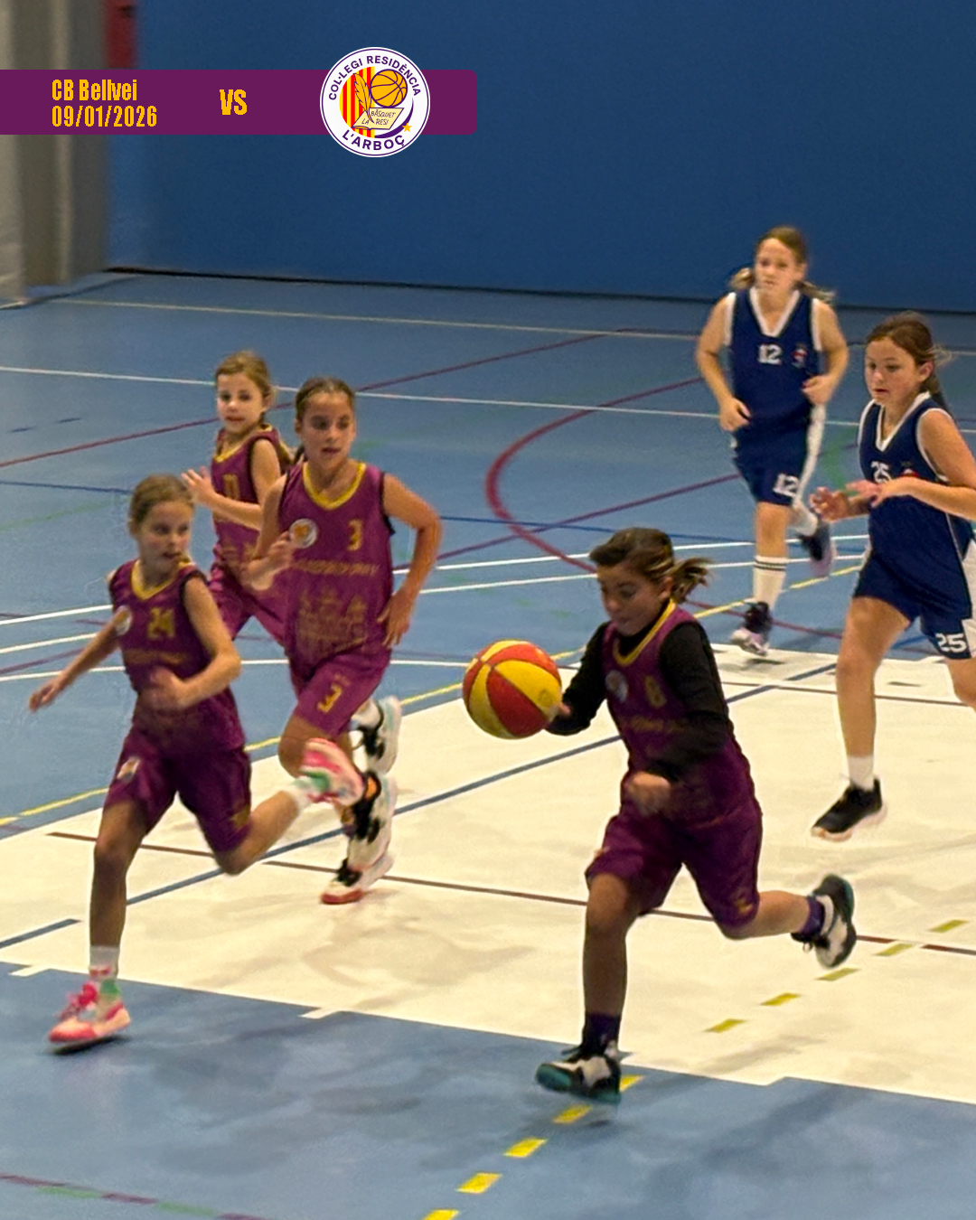 bellvei_basquet_arbocenc_resi_09 bellvei_basquet_arbocenc_resi_09