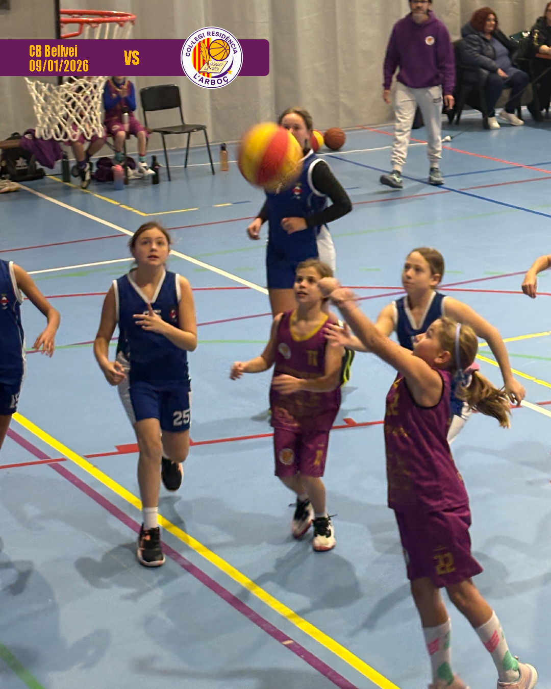 bellvei_basquet_arbocenc_resi_11 bellvei_basquet_arbocenc_resi_11