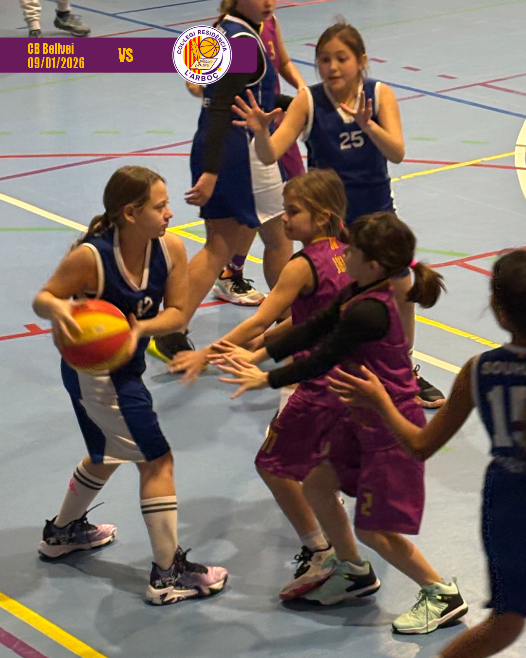 bellvei_basquet_arbocenc_resi_12 bellvei_basquet_arbocenc_resi_12