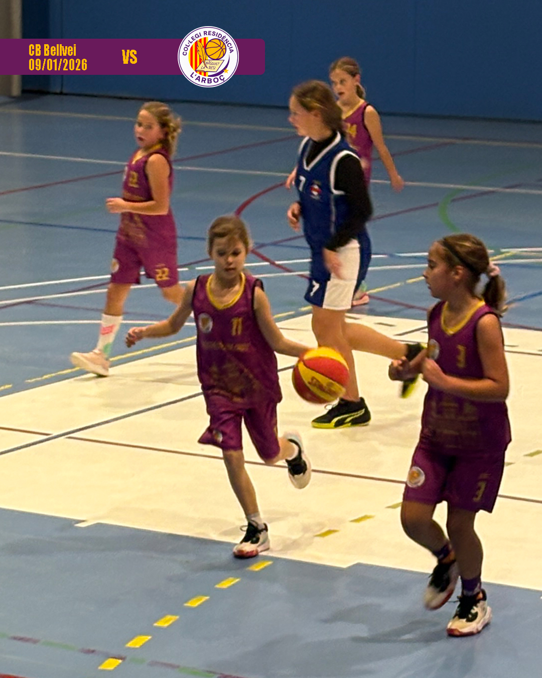 bellvei_basquet_arbocenc_resi_13 bellvei_basquet_arbocenc_resi_13