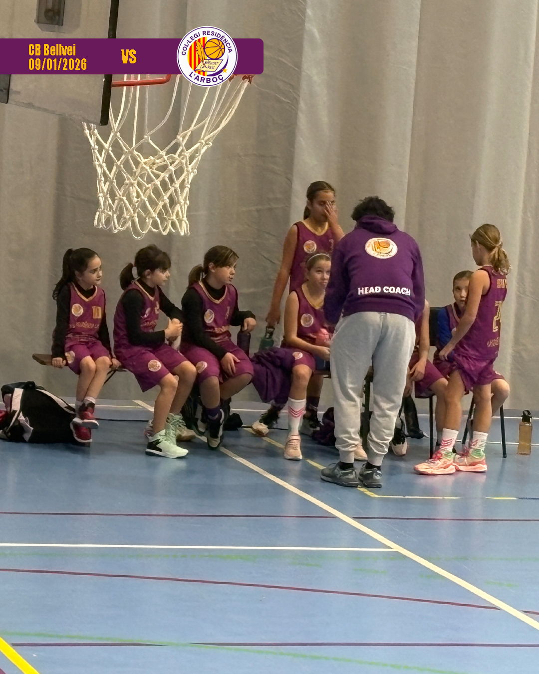 bellvei_basquet_arbocenc_resi_14 bellvei_basquet_arbocenc_resi_14