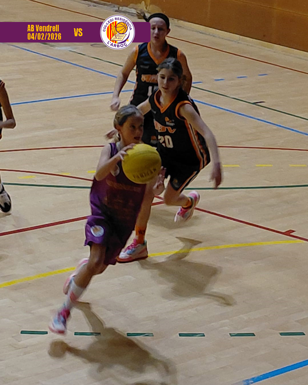 abvendrell_basquet_arbocenc_resi_03 abvendrell_basquet_arbocenc_resi_03