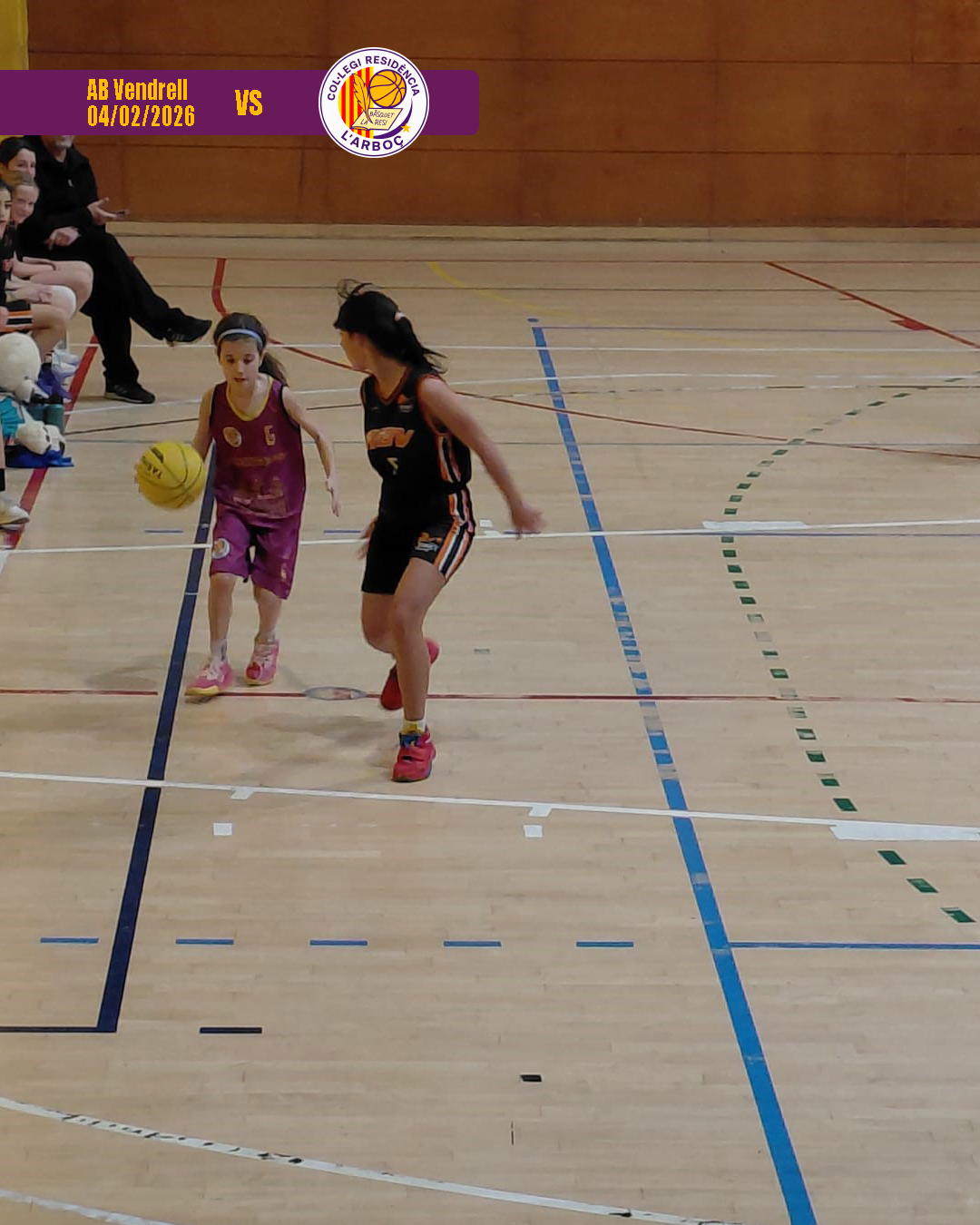 abvendrell_basquet_arbocenc_resi_07 abvendrell_basquet_arbocenc_resi_07