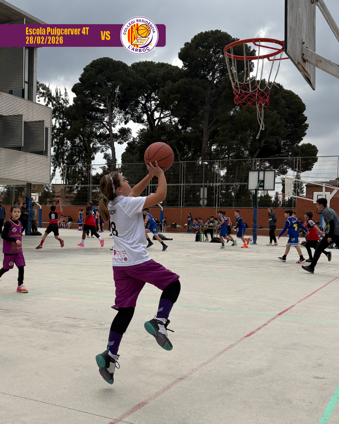 basquet_arbocenc_resi_puigcerver_4t_01