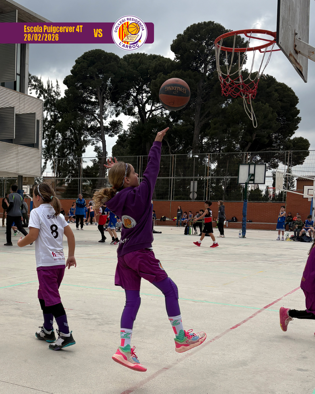 basquet_arbocenc_resi_puigcerver_4t_02