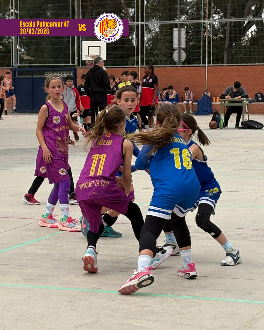 basquet_arbocenc_resi_puigcerver_4t_06