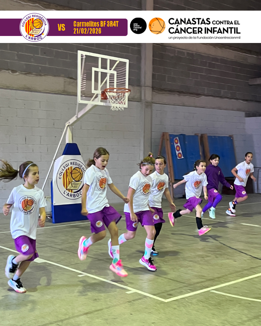 basquet_resi_arbocenc_carmelites_01 basquet_resi_arbocenc_carmelites_01