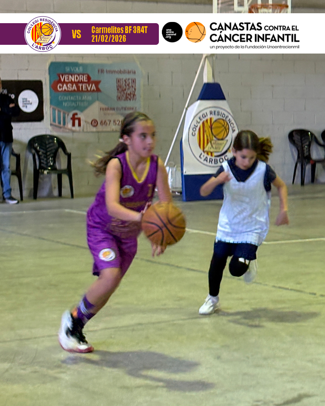 basquet_resi_arbocenc_carmelites_03 basquet_resi_arbocenc_carmelites_03
