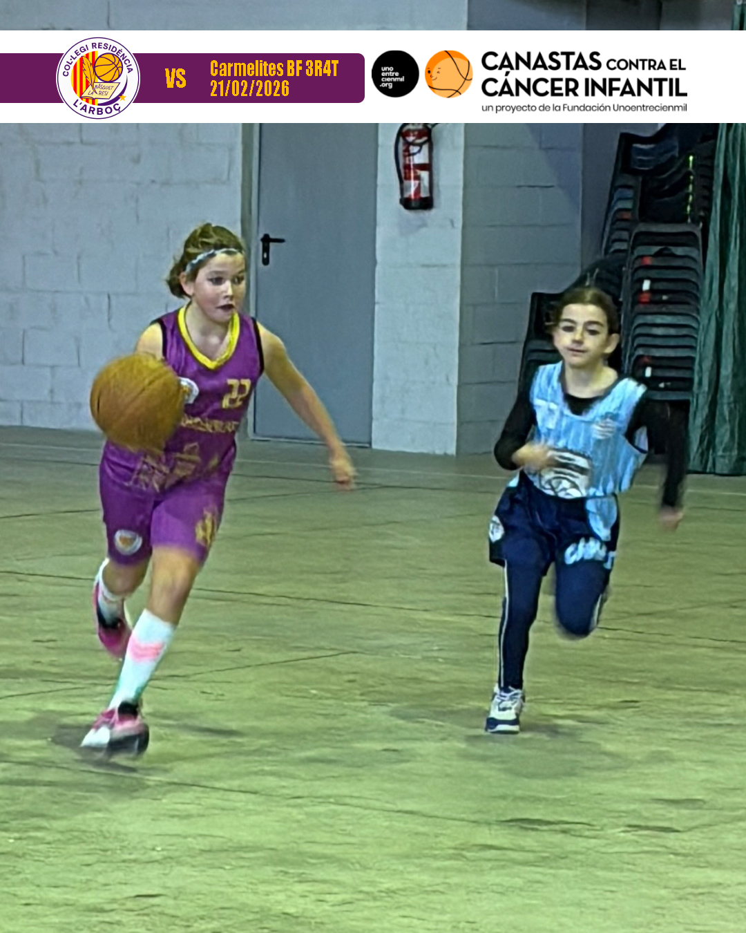 basquet_resi_arbocenc_carmelites_04 basquet_resi_arbocenc_carmelites_04