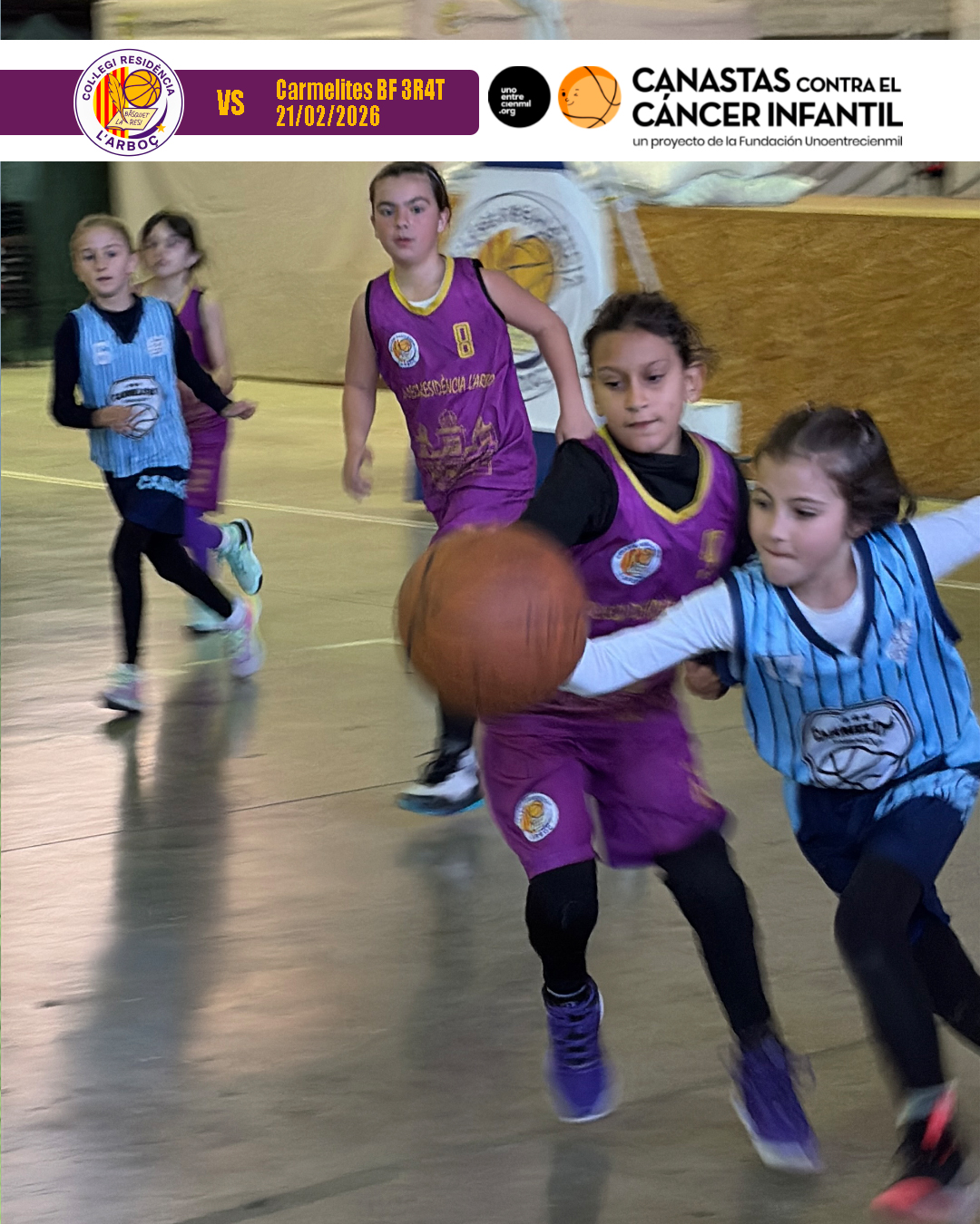 basquet_resi_arbocenc_carmelites_05 basquet_resi_arbocenc_carmelites_05