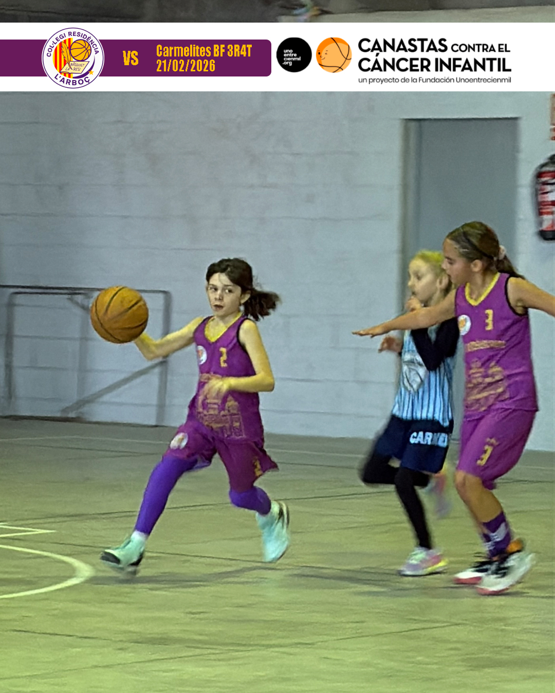 basquet_resi_arbocenc_carmelites_06 basquet_resi_arbocenc_carmelites_06