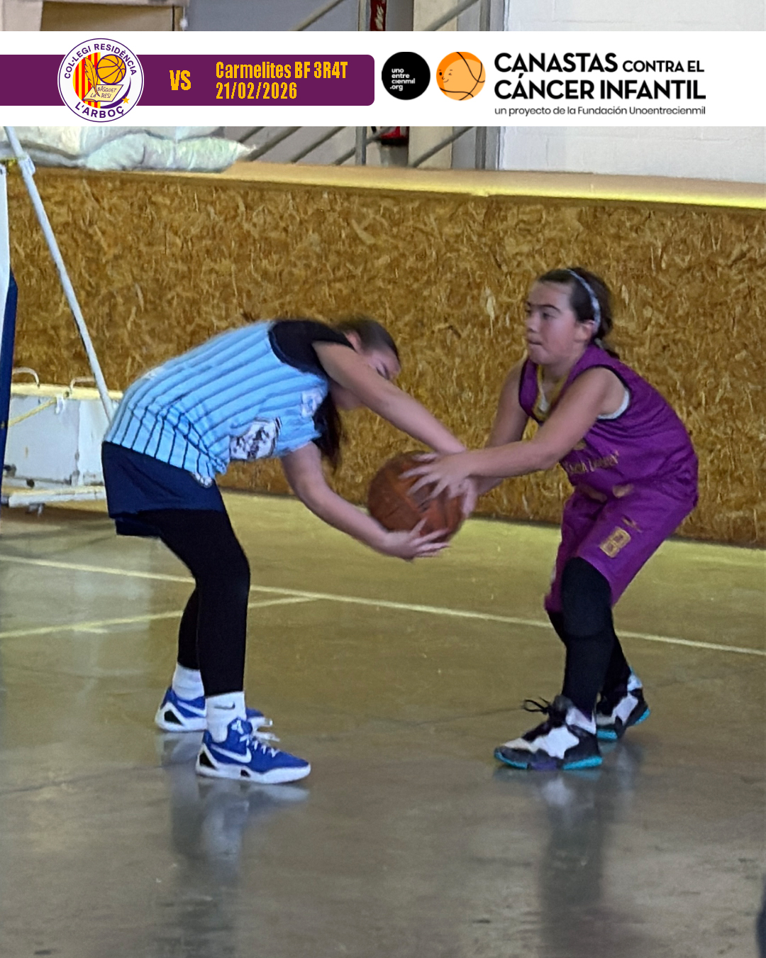 basquet_resi_arbocenc_carmelites_07 basquet_resi_arbocenc_carmelites_07