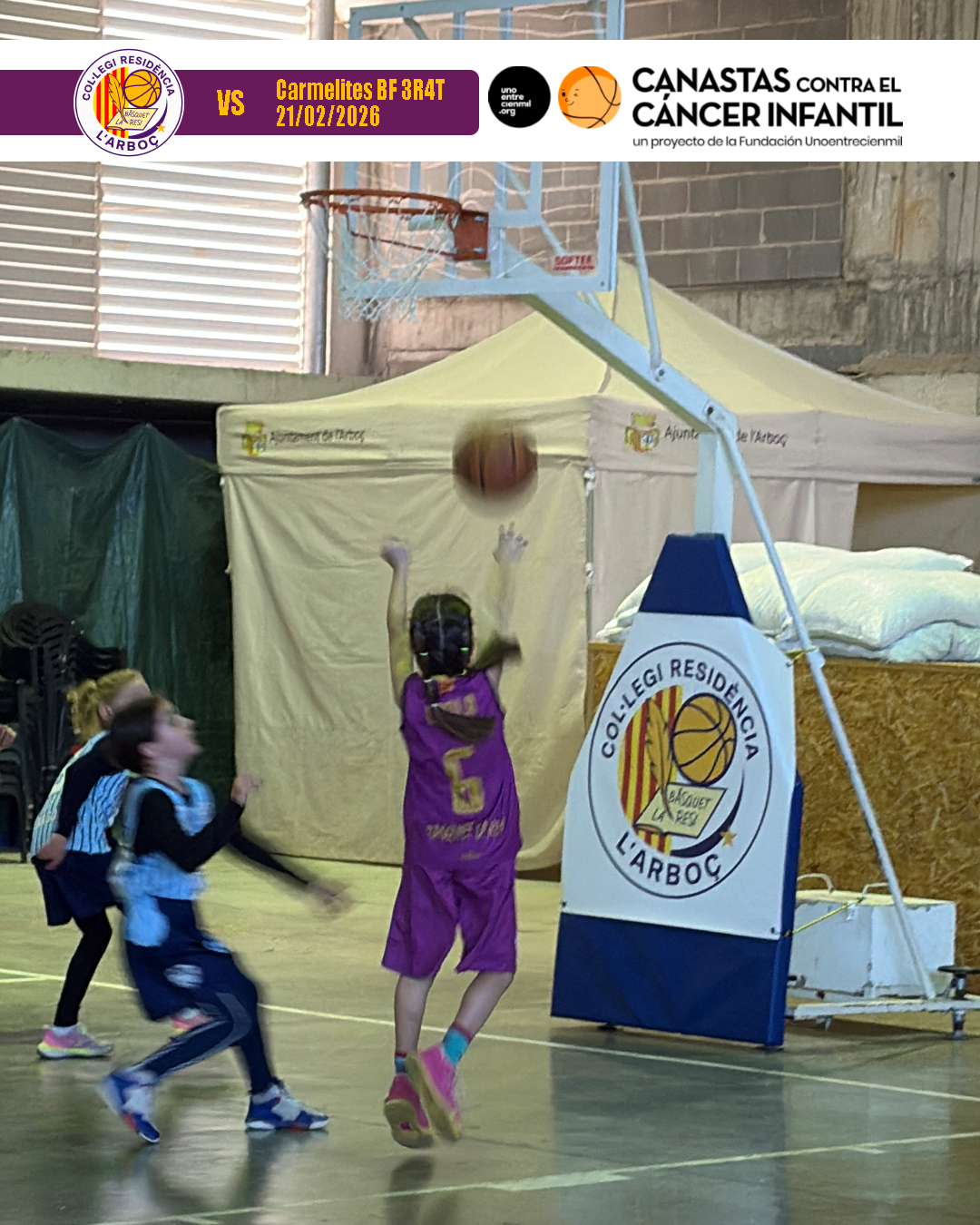 basquet_resi_arbocenc_carmelites_08 basquet_resi_arbocenc_carmelites_08